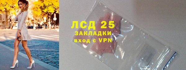 шишки Коряжма