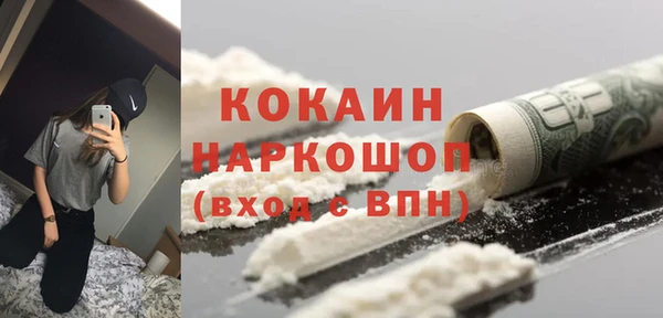 шишки Коряжма