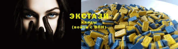 шишки Коряжма