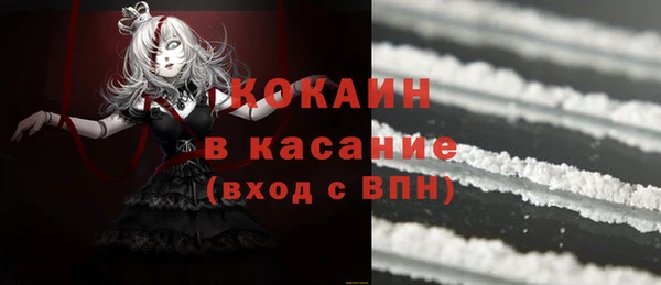 шишки Коряжма