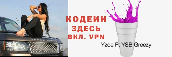 шишки Коряжма
