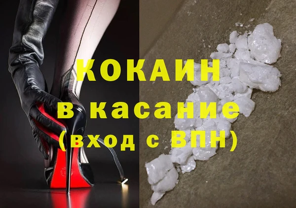 шишки Коряжма