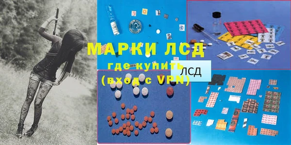 шишки Коряжма