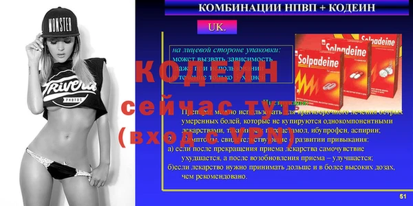 шишки Коряжма