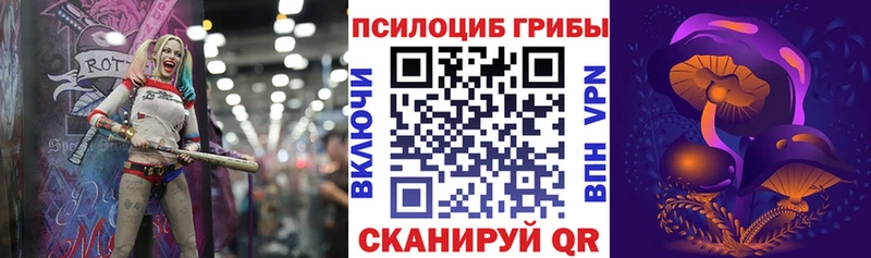 Галлюциногенные грибы Psilocybe  Купить закладки  Голицыно 
